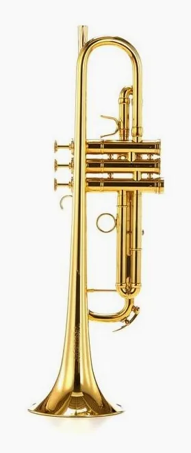 Adams A5 Brass 045 Selected GL, vue 4