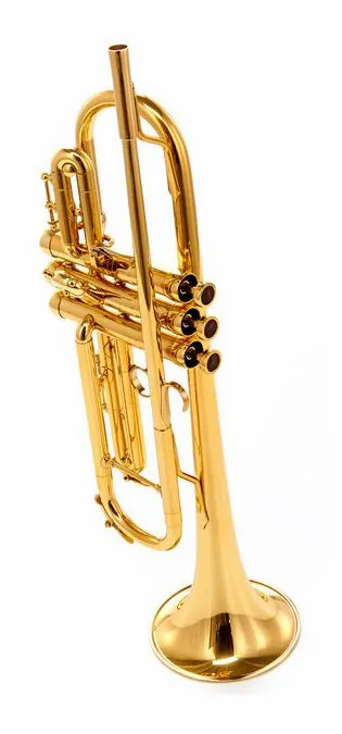 Adams A6 Brass 045 Selected Lacquer, vue 4