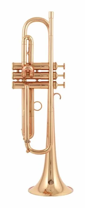 Adams A9 Brass 050 Selected L CL, vue 2