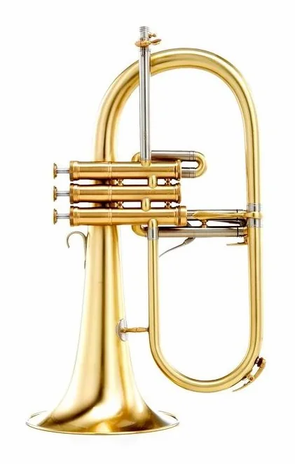 Adams F1 M Custom 050 170 SL, vue 4