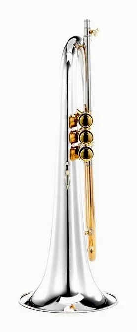 Adams F1 SS Custom 045 150 L, vue 4