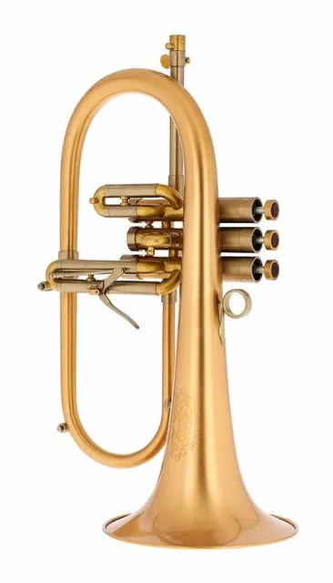 Adams F2 GM Selected 055 170 BL, vue 2