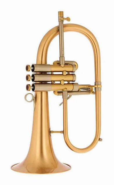 Adams F2 GM Selected 055 170 BL, vue 3