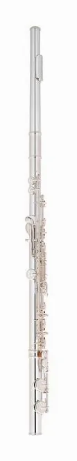 Altus AS-A10 REO-S Flute, vue 3