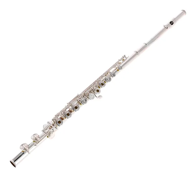 Altus AS-A10 REO-S Flute, vue 4