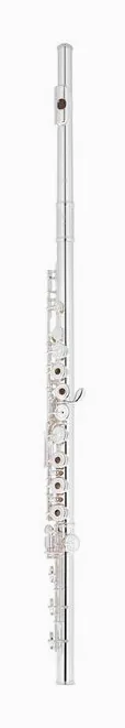 Altus AS-A9 RBEO-S Flute, vue 2