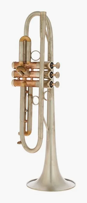 AR Resonance Feroce Bb-Trumpet, vue 2