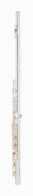 Azumi AZ-S2 E Flute, vue 2