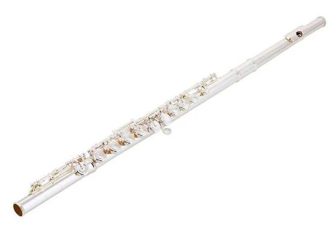 Azumi AZ-S2 E Flute, vue 3