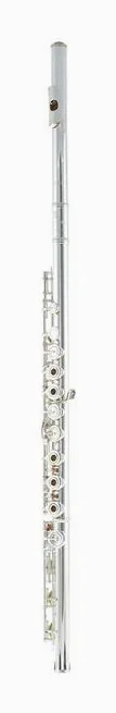 Azumi AZ-S2 RBI Flute, vue 2