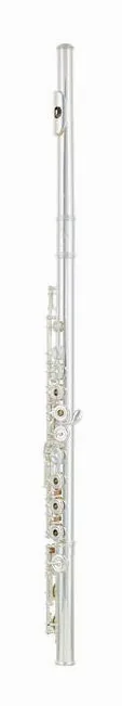 Azumi AZ-S2 RE Flute, vue 2