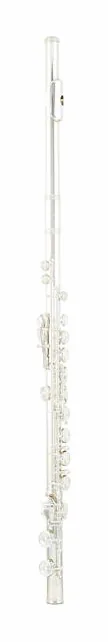 Azumi AZ-S3 E Flute, vue 2