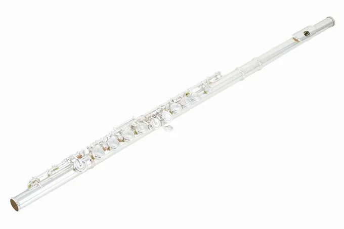 Azumi AZ-S3 E Flute, vue 3