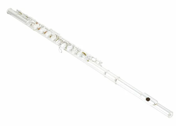 Azumi AZ-S3 E Flute, vue 4