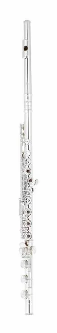 Azumi AZ-Z1 RBE Flute