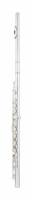 Azumi AZ-Z1 E Flute, vue 2