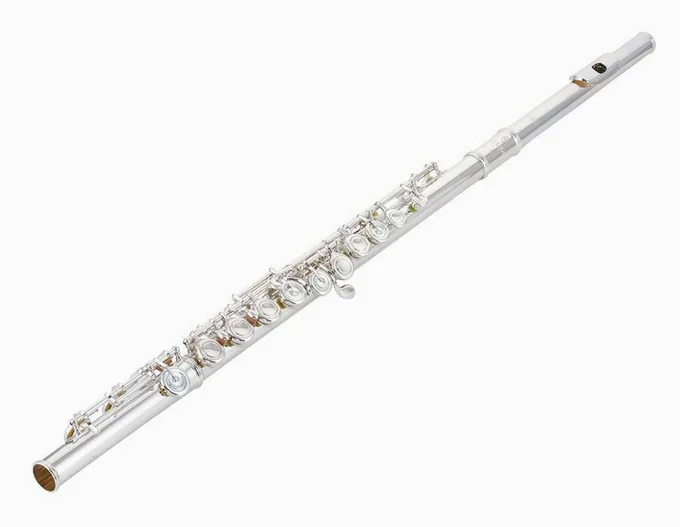 Azumi AZ-Z1 E Flute, vue 3