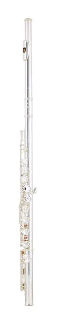 Azumi AZ-Z2 E Flute, vue 2
