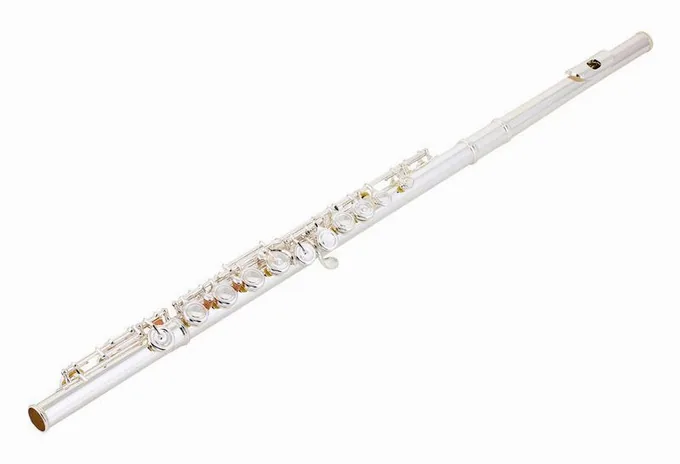 Azumi AZ-Z2 E Flute, vue 3