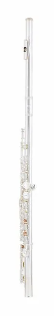 Azumi AZ-Z3 E Flute, vue 2