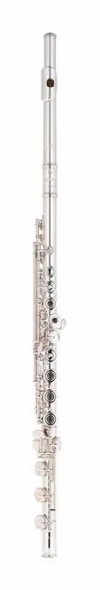 Azumi AZ-Z3 RBE-C Flute