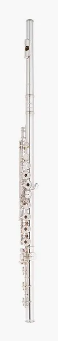 Azumi AZ-Z3 RBE-C Flute, vue 2