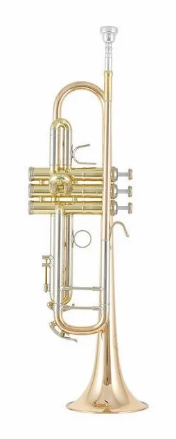 B&S 3137 G-L Challenger I GM