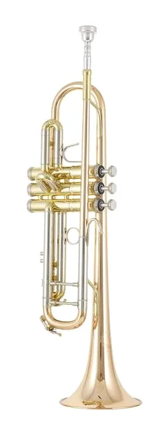 B&S 3137 G-L Challenger I GM, vue 2