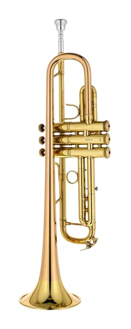 Bach 17043GY Bb-Trumpet, vue 3