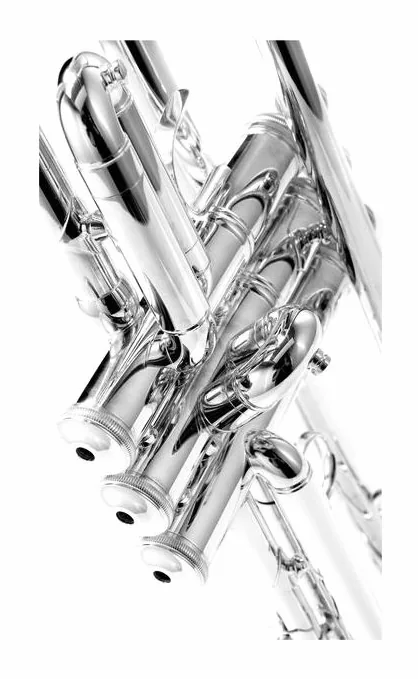 Bach 180S72 Bb-Trumpet, vue 4