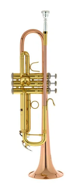 Bach TR-351G Bb-Trumpet, vue 2