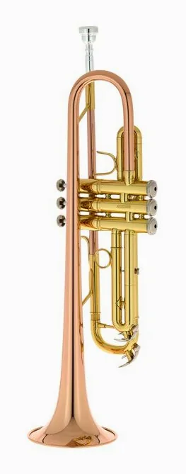 Bach TR-351G Bb-Trumpet, vue 3