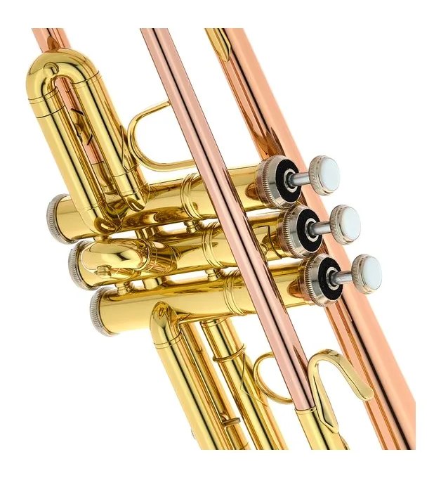 Bach TR-351G Bb-Trumpet, vue 4