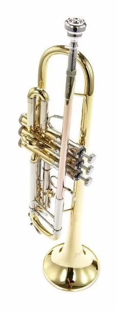 Bach TR-501 Student, vue 4