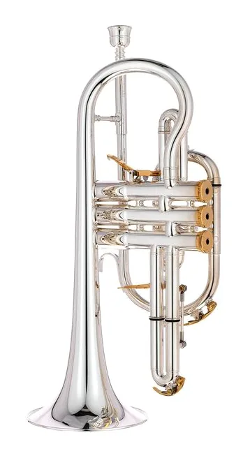 Besson BE2028-2 Prestige Bb-Cornet, vue 3