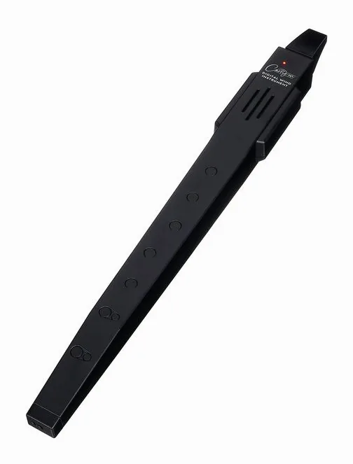 Blackstar Carry On Digital Flute, black