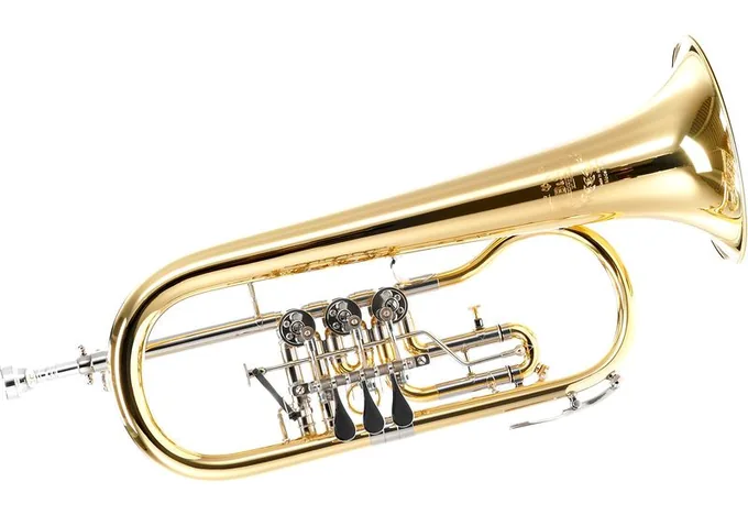 B&S 17/2T-L Bb Flugelhorn Set