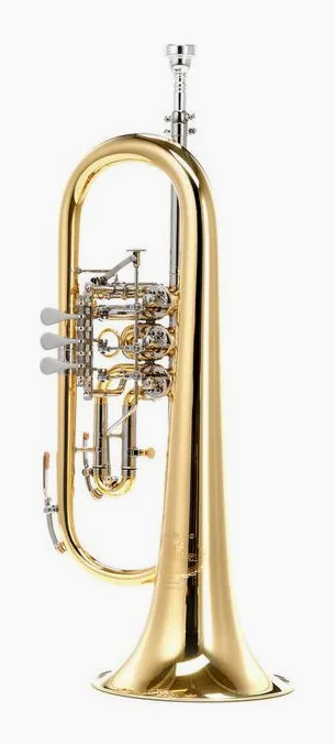 B&S 17/2T-L Bb Flugelhorn Set, vue 2