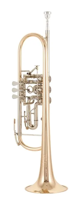 B&S 3005/3TR-L Trumpet, vue 2