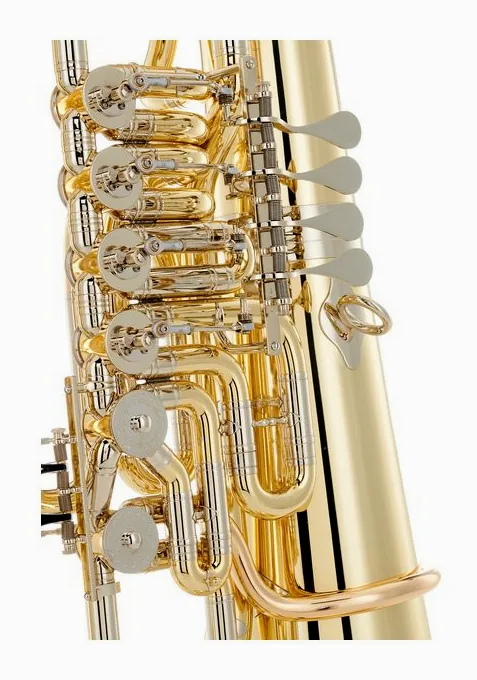 B&S 3100/W-L (PT-12) F-Tuba, vue 4