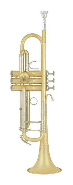 B&S 3138/2-E Elaboration 37