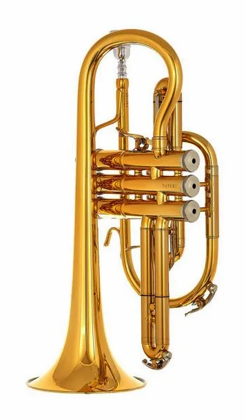 B&S 3142/2-GL Brochon Bb-Cornet, vue 2