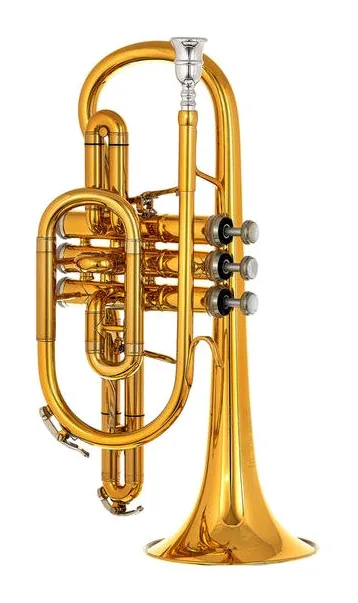 B&S 3142/2-GL Brochon Bb-Cornet, vue 3