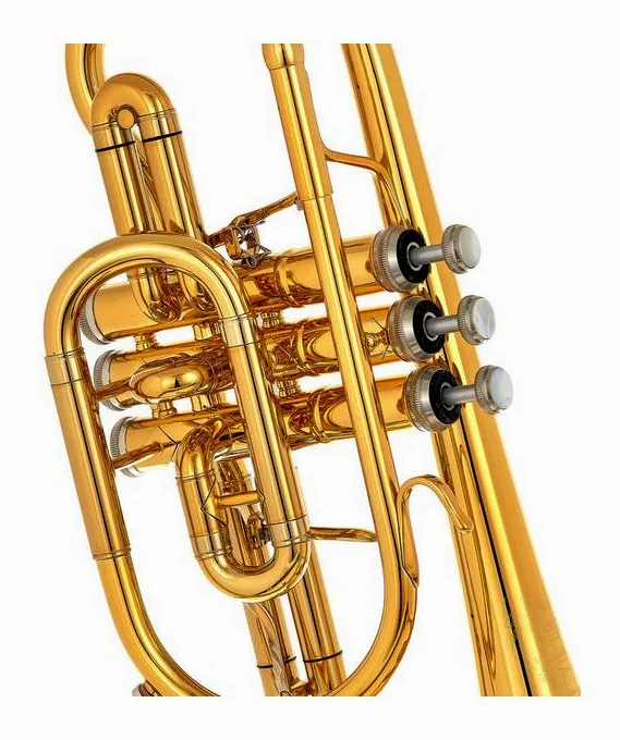 B&S 3142/2-GL Brochon Bb-Cornet, vue 4
