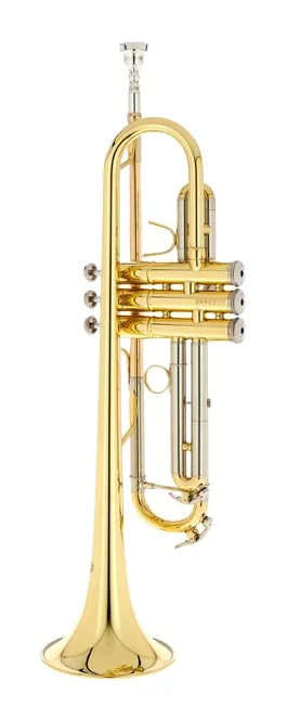 B&S BS210-1-0 Prodige Bb- Trp. Set, vue 2