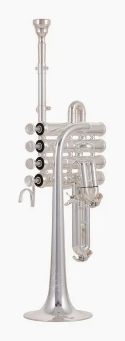 B&S 3131/2-S Bb-/A- Piccolo, vue 2