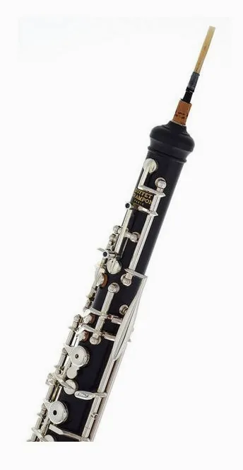 Buffet Crampon BC-4062-2-0 Oboe, vue 4