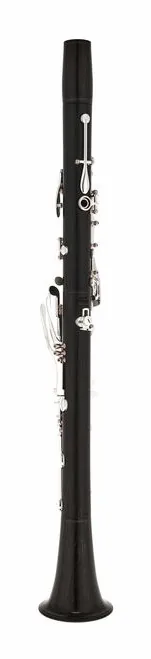 Buffet Crampon Divine Bb-Clarinet 19/6, vue 3