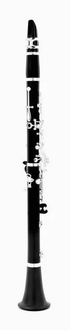 Buffet Crampon E12F Bb-Clarinet 17/6, vue 3