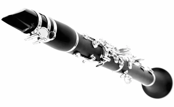 Buffet Crampon E12F Bb-Clarinet 17/6, vue 4